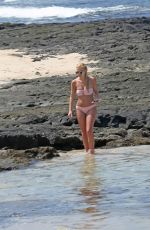 AVA SAMBORA in Bikini at a Beach in Hawaii 03/06/2017