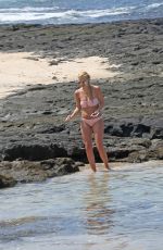 AVA SAMBORA in Bikini at a Beach in Hawaii 03/06/2017