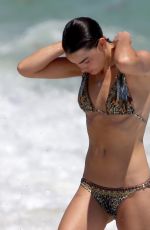 BAMBI NORHWOOD-BLYTH in Bikini on the Beach in Miami 03/30/2017