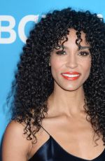 BROOKLYN SUDANO at NBCUniversal Summer Press Day in Beverly Hills 03/20/2017