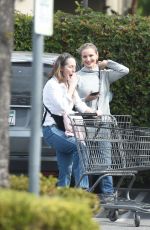 CAMERON DIAZ Out for Grocery Shopping in Los Angeles 03/04/2017