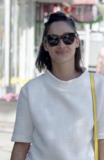 CARA SANTANA in Jeans Shorts Out in West Hollywood 03/24/2017