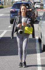 CARA SANTANA Leaves a Gym in Los Angeles 03/02/2017