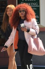 CHAKA KHAN Out for Shopping in Beverly Hills 03/07/2017