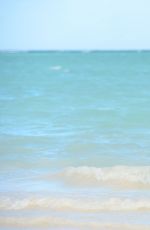 CHANTELLE CONNELLY in Swimsuit Playing Volley Ball at a Beach at Dominican Republic 03/09/2017