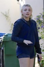 CHLOE MORETZ in Shorts Out in Los Angeles 03/28/2017