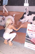 COURTNEY STODDEN at Pig Vigil at Farmer Johns Slaughterhouse in Vernon 03/18/2017