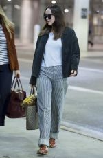 DAKOTA JOHNSON Ariives at Airport in Miami 03/29/2017