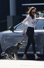 DAKOTA JOHNSON Out and About in West Hollywood 03/17/2017