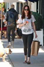 DAKOTA JOHNSON Out Shopping in Los Angeles 03/27/2017
