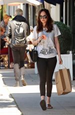 DAKOTA JOHNSON Out Shopping in Los Angeles 03/27/2017