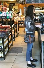 DAKOTA JOHNSON Shopping in Los Angeles 03/23/2017