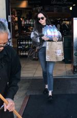 DAKOTA JOHNSON Shopping in Los Angeles 03/23/2017