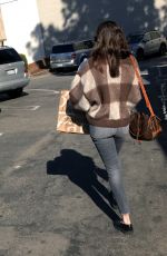 DAKOTA JOHNSON Shopping in Los Angeles 03/23/2017