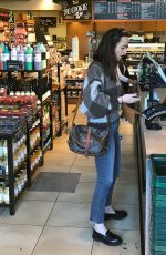 DAKOTA JOHSNON Out Shopping in Los Angeles 03/23/2017
