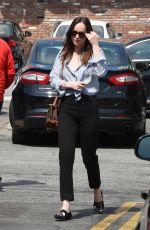 DAKOTA JOHSNON Shopping at a Pet Store in Los Angeles 03/20/2017