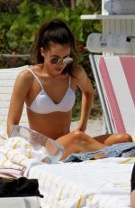 DANIELLE PEAZER in Bikini on the Beach in Miami 03/13/2017