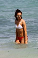 DANIELLE PEAZER in Bikini on the Beach in Miami 03/13/2017