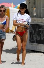 DANIELLE PEAZER in Bikini on the Beach in Miami 03/13/2017