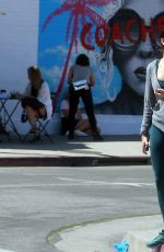 EIZA GONZALEZ Out Shopping in West Hollywood 03/28/2017
