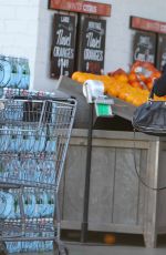 ELISABETTA CANALIS in Shorts Shopping at Bristol Farms in West Hollywood 03/20/2017