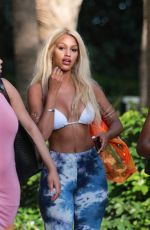 FANNY NEGUESHA in Bikini Top Out in Miami 03/28/2017