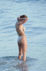 FRANCESCA EASTWOOD in Bikini at a Beach in Malibu 03/30/2017
