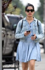 FREIDA PINTO Out and About in Los Angeles 03/18/2017