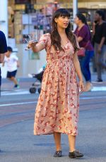 HANNAH SIMONE Shopping at The Grove in Los Angeles 03/09/2017