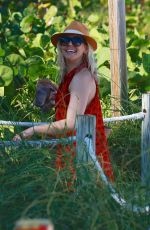 HELENE YORKE at a Beach in Miami 02/26/2017