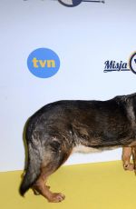 JOANNA KRUPA Promotes Mission Dog TV Show in Warsaw 03/06/2017