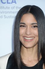 JULIA JONES at UCLA Celebrates Innovators for a Healthy Planet 03/13/2017
