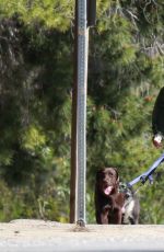 JULIA ROBERTS Walks Her Dogs Out in Malibu 03/07/2017