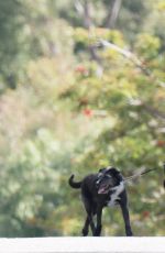 JULIA ROBERTS Walks Her Dogs Out in Malibu 03/07/2017