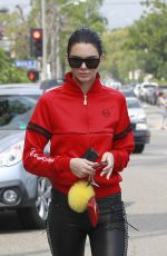 KENDALL JENNER Out in Beverly Hills 03/19/2017