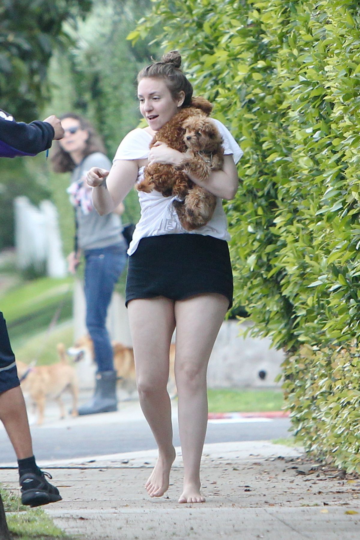 https://www.hawtcelebs.com/wp-content/uploads/2017/03/lena-dunham-out-with-her-dogs-in-beverly-hills-03-22-2017_9.jpg