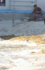 MADISON LOUCH, JOY CORRIGAN and BECCA TILLEY in Bikinis on the Beach in Playa Del Carmen 02/28/2017