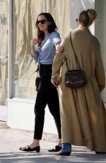 MELANIE GRIFFITH and DAKOTA JOHNSON Out for Lunch in Los Angeles 03/20/2017
