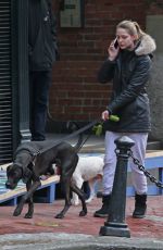 MELISSA BENOIST Walks Her Dogs Out in Vancouver 03/19/2017