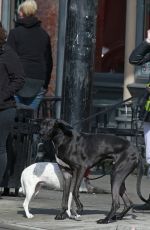 MELISSA BENOIST Walks Her Dogs Out in Vancouver 03/19/2017