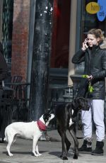 MELISSA BENOIST Walks Her Dogs Out in Vancouver 03/19/2017