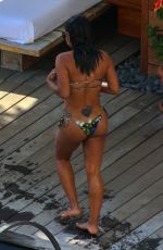 NICOLE WILLIAMS and CHRISTINA MILIAN in Bbikinis at a Pool in Hawaii 03/30/2017