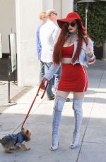 PHOEBE PRICE Walks Her Dog Out in Beverly Hills 03/29/2017