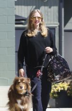 Pregnant AMANDA SEYFRIED Walks Her Dog in Studio City 03/08/2017