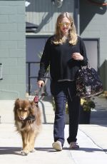 Pregnant AMANDA SEYFRIED Walks Her Dog in Studio City 03/08/2017