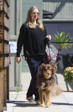 Pregnant AMANDA SEYFRIED Walks Her Dog in Studio City 03/08/2017