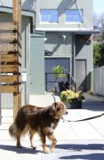 Pregnant AMANDA SEYFRIED Walks Her Dog in Studio City 03/08/2017