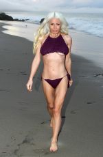 SARA BARRETT in Bikini at a Beach in Malibu 03/22/2017