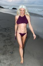 SARA BARRETT in Bikini at a Beach in Malibu 03/22/2017