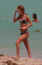 SARAH SNYDER in Bikini at a Beach in Miami 03/25/2017